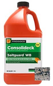 Prosoco Saltguard WB